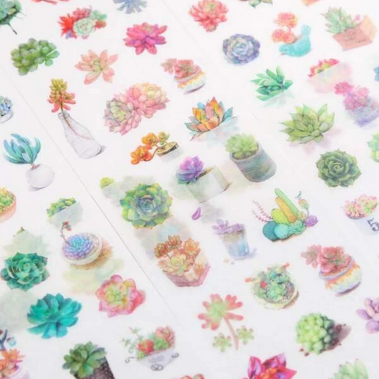 Stickers Suculentas